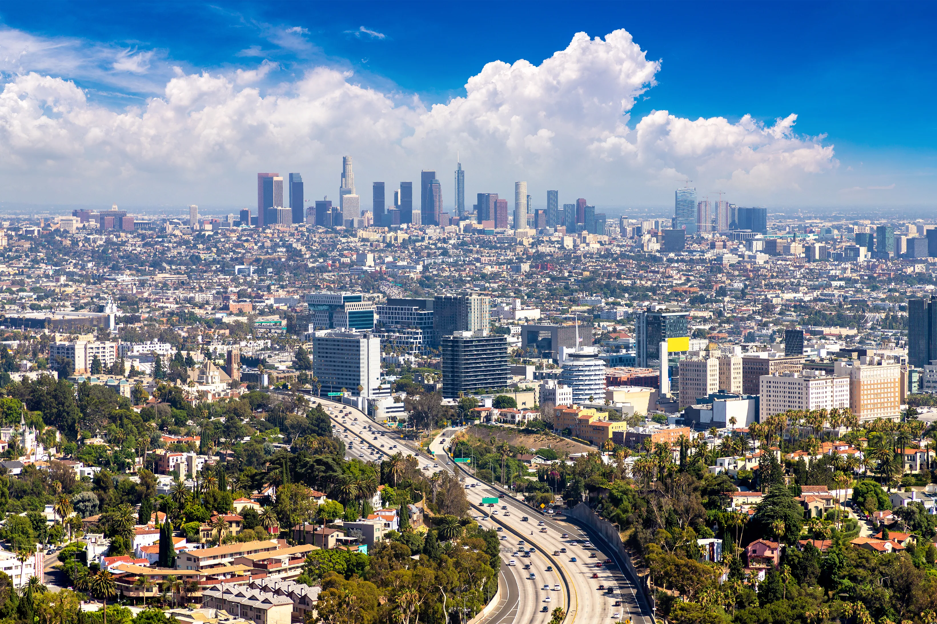 Contact 247 Rooter Service of Los Angeles California