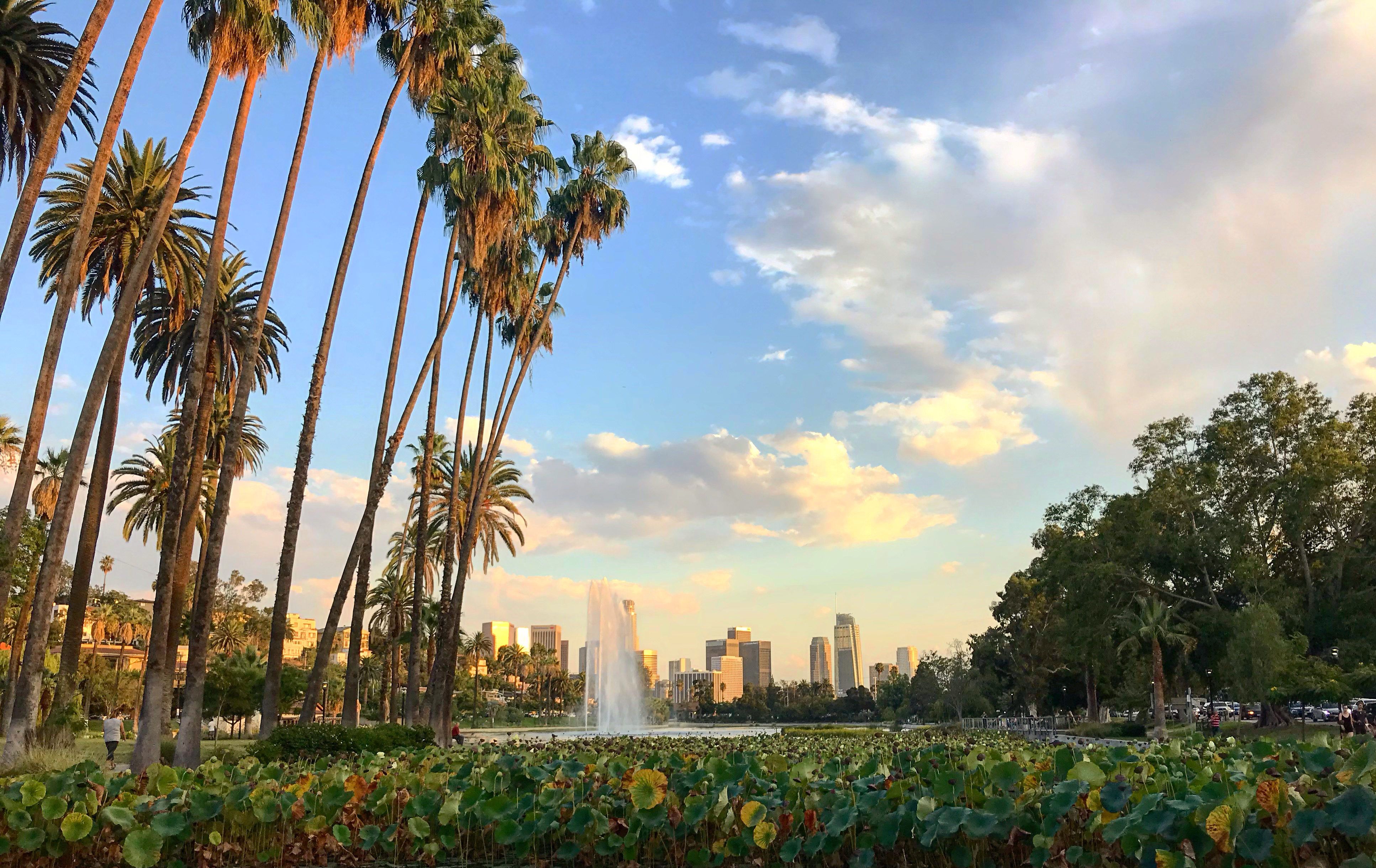 Echo Park CA Plumber Near Me
