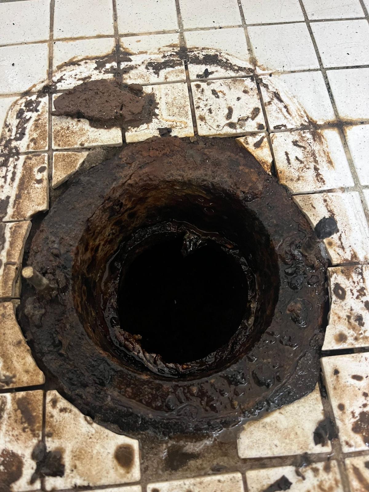 Smelly Shower Drain Cleaning in Los Angeles, CA