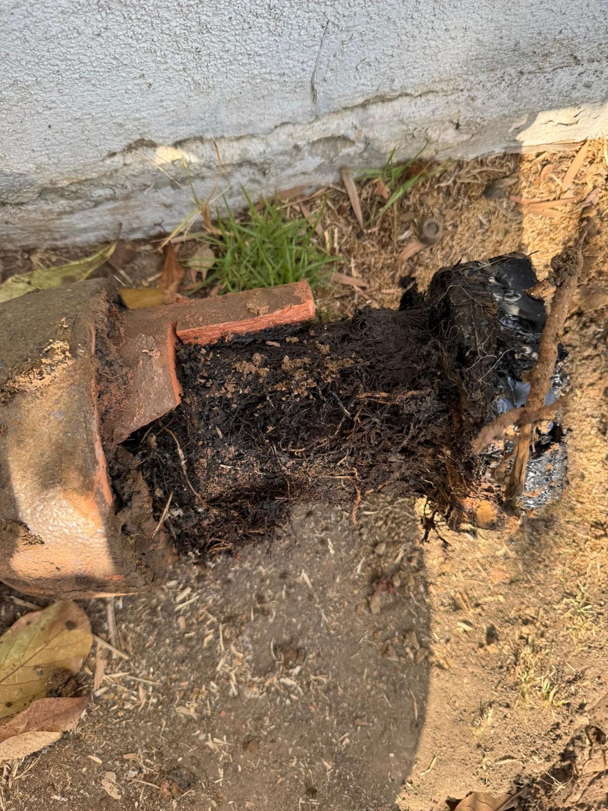 main sewer line tree roots removal service near los angeles california