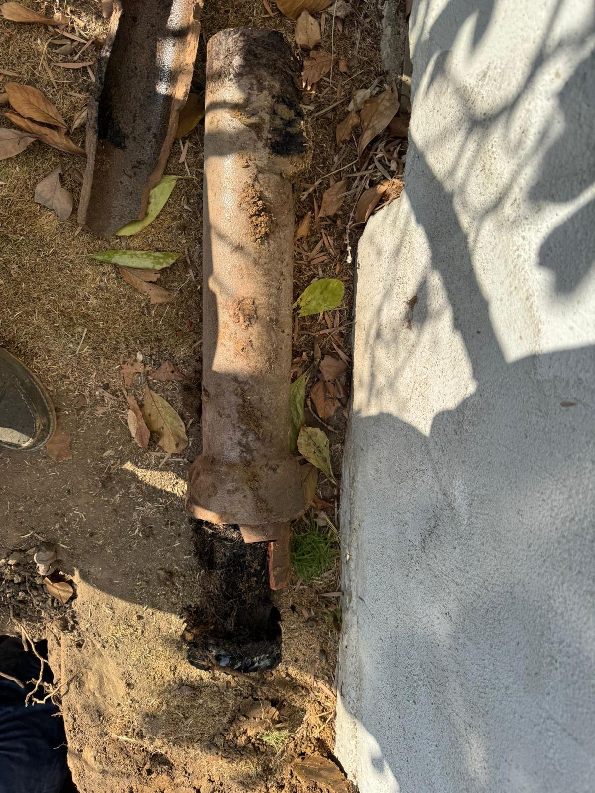 sewer line tree roots removal service near los angeles california