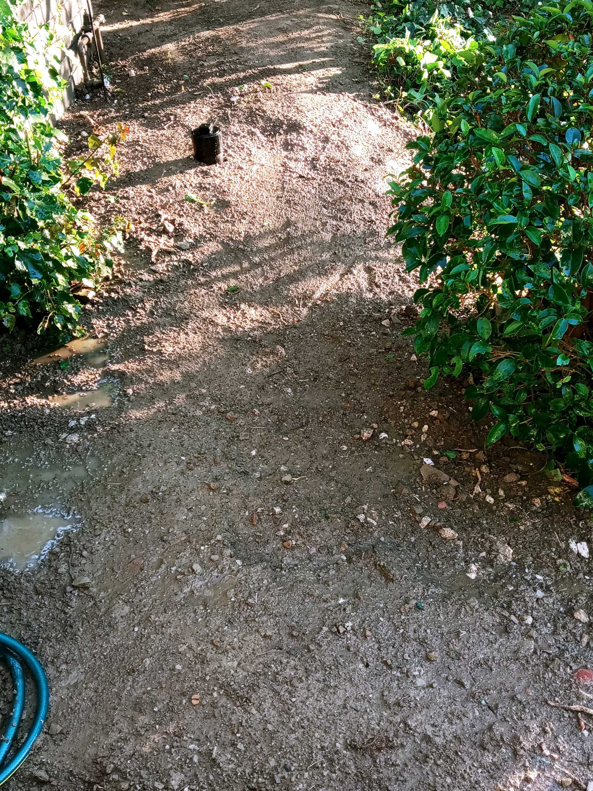 Sewer pipe replacement
