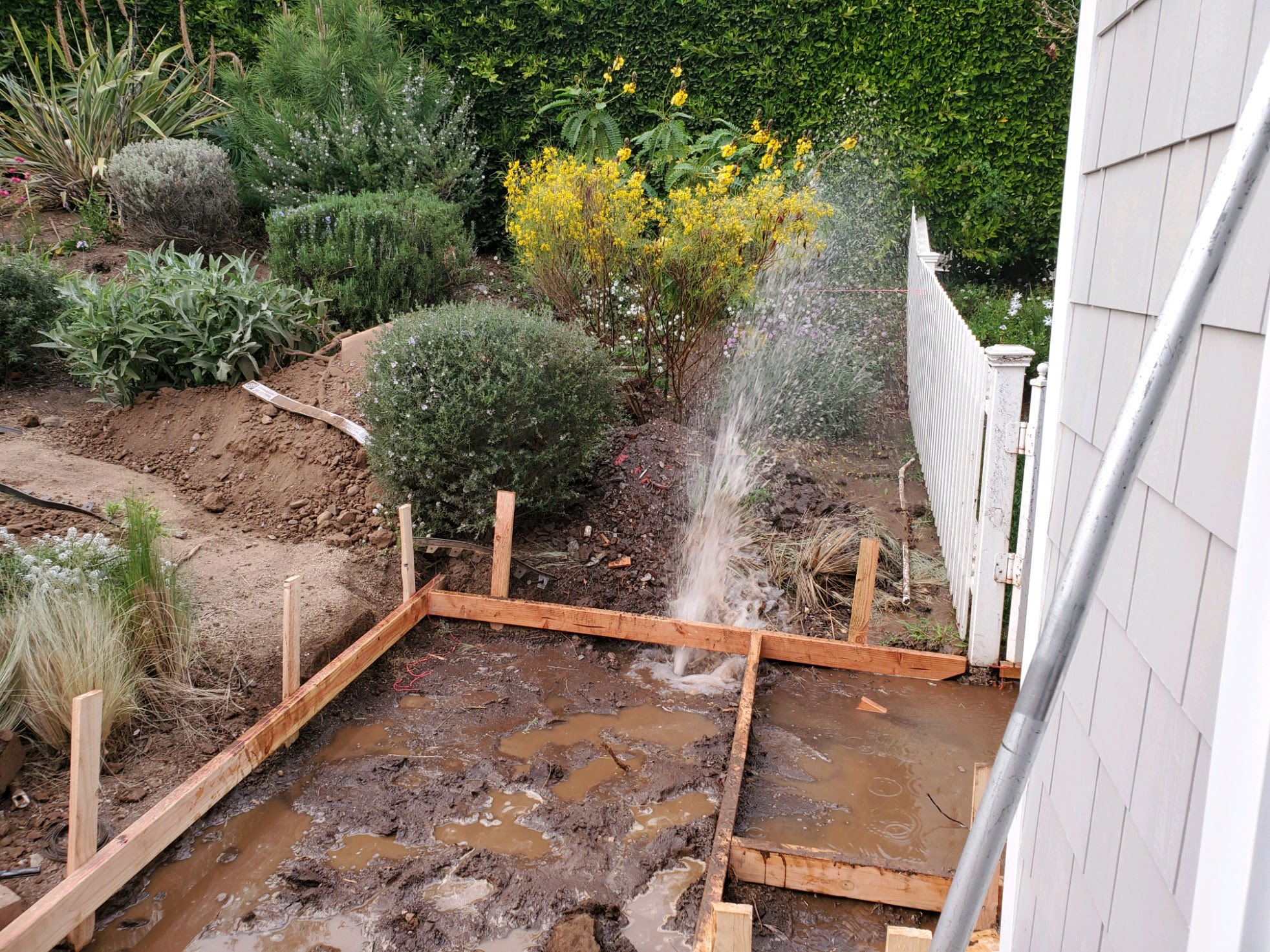 bursted water main for residential home